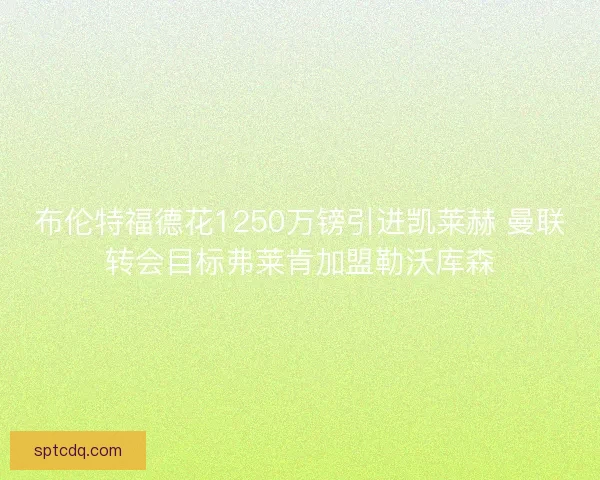 布伦特福德花1250万镑引进凯莱赫 曼联转会目标弗莱肯加盟勒沃库森